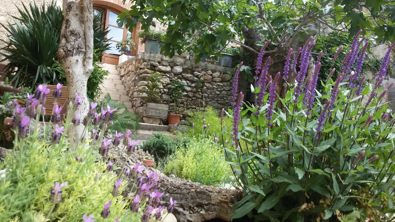 L'Ile Aux Mimosas Bed and Breakfast Tautavel Habitación foto